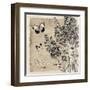 Bordered Fleurs Paris-Piper Ballantyne-Framed Art Print