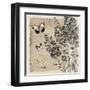 Bordered Fleurs Paris-Piper Ballantyne-Framed Art Print