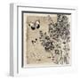 Bordered Fleurs Paris-Piper Ballantyne-Framed Art Print