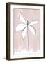 Bordered Flower-Unknown Uplusmestudio-Framed Giclee Print