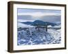 Borders Snow, 2012-Charles Simpson-Framed Giclee Print