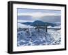 Borders Snow, 2012-Charles Simpson-Framed Giclee Print