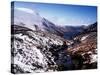 Borders Talla in Snow-null-Stretched Canvas