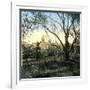 Bordighera (Italy), Overview, Circa 1895-Leon, Levy et Fils-Framed Photographic Print