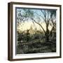 Bordighera (Italy), Overview, Circa 1895-Leon, Levy et Fils-Framed Photographic Print