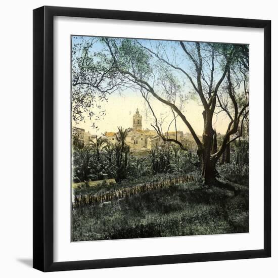 Bordighera (Italy), Overview, Circa 1895-Leon, Levy et Fils-Framed Photographic Print