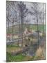 Bords De La Viosne a Osny, Temps Gris, Hiver - Peinture De Camille Pissarro(1830-1903) the Banks Of-Camille Pissarro-Mounted Giclee Print