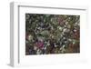 Boreal forest, lichen, moss, mushroom, autumn, Yukon, Canada-Gerry Reynolds-Framed Photographic Print