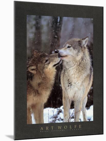 Boreal Interlude, Canada-Art Wolfe-Mounted Art Print