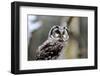 Boreal Owl-Reiner Bernhardt-Framed Photographic Print