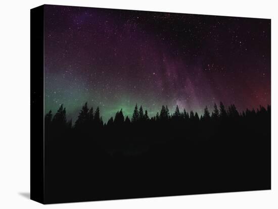 Borealis Dreams 2-Marcus Prime-Stretched Canvas