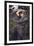Boreas John William Waterhouse-John William Waterhouse-Framed Art Print