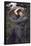 Boreas-John William Waterhouse-Framed Poster