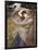 Boreas-John William Waterhouse-Framed Giclee Print