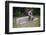 Bored Child Sitting with Raspberry Cartons-William P. Gottlieb-Framed Photographic Print