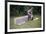 Bored Child Sitting with Raspberry Cartons-William P. Gottlieb-Framed Photographic Print