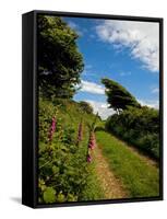 Boreen Near Ballyvooney, Copper Coast , County Waterford, Ireland-null-Framed Stretched Canvas