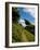 Boreen Near Ballyvooney, Copper Coast , County Waterford, Ireland-null-Framed Photographic Print