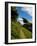 Boreen Near Ballyvooney, Copper Coast , County Waterford, Ireland-null-Framed Photographic Print