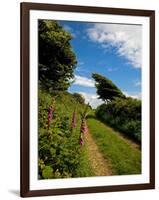 Boreen Near Ballyvooney, Copper Coast , County Waterford, Ireland-null-Framed Photographic Print