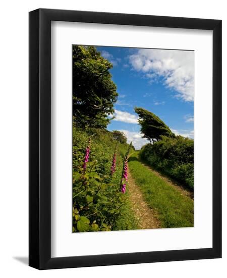 Premium Photographic Print, , large