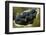 Boring Giant Clam-Hal Beral-Framed Photographic Print