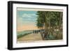 Borinquen Park, Near San Juan, 1909-null-Framed Giclee Print