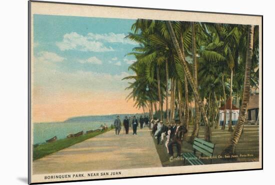 Borinquen Park, Near San Juan, 1909-null-Mounted Giclee Print