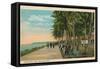 Borinquen Park, Near San Juan, 1909-null-Framed Stretched Canvas