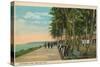Borinquen Park, Near San Juan, 1909-null-Stretched Canvas