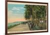 Borinquen Park, Near San Juan, 1909-null-Framed Giclee Print