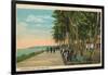 Borinquen Park, Near San Juan, 1909-null-Framed Giclee Print