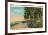 Borinquen Park, Near San Juan, 1909-null-Framed Giclee Print