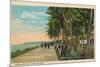 Borinquen Park, Near San Juan, 1909-null-Mounted Giclee Print