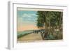 Borinquen Park, Near San Juan, 1909-null-Framed Premium Giclee Print