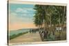 Borinquen Park, Near San Juan, 1909-null-Stretched Canvas