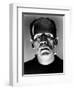 Boris Karloff "Frankenstein Lives Again!" 1935 "Bride of Frankenstein" Directed by James Whale-null-Framed Photographic Print