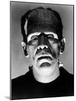 Boris Karloff "Frankenstein Lives Again!" 1935 "Bride of Frankenstein" Directed by James Whale-null-Mounted Photographic Print