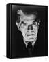 Boris Karloff-null-Framed Stretched Canvas