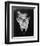 Boris Karloff-null-Framed Photo