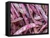 Borlotti Beans-Dirk Olaf Wexel-Framed Stretched Canvas