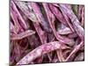 Borlotti Beans-Dirk Olaf Wexel-Mounted Premium Photographic Print