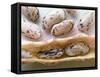 Borlotti Beans-null-Framed Stretched Canvas