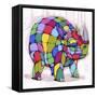 Born Colorful-Ric Stultz-Framed Stretched Canvas