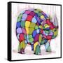 Born Colorful-Ric Stultz-Framed Stretched Canvas