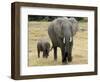 Born Free Charity, Kenya, September 2004-null-Framed Photographic Print