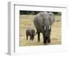 Born Free Charity, Kenya, September 2004-null-Framed Photographic Print