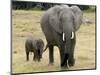 Born Free Charity, Kenya, September 2004-null-Mounted Photographic Print