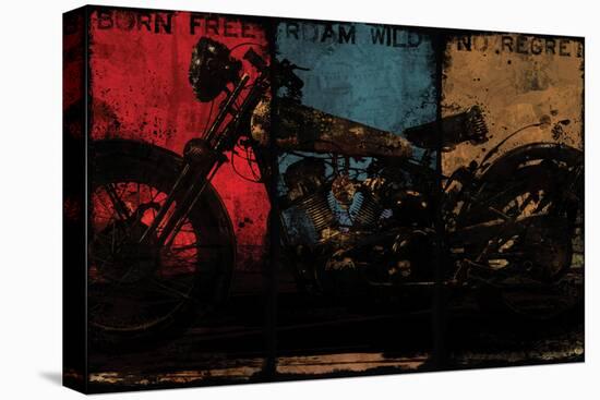 Born Free Multi-Eric Yang-Stretched Canvas