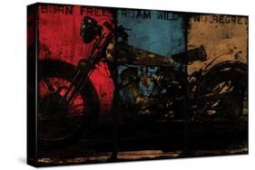 Born Free Multi-Eric Yang-Stretched Canvas